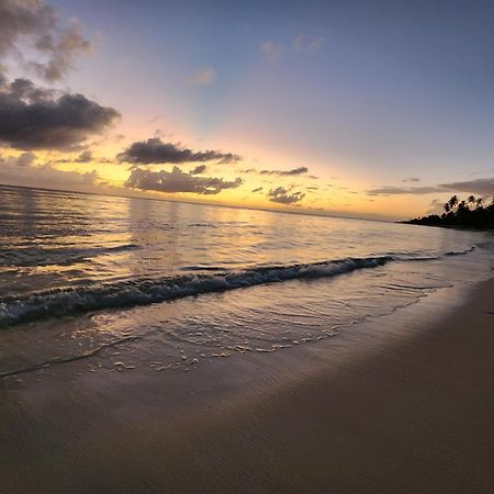 Saona Lodge Mano Juan Dış mekan fotoğraf