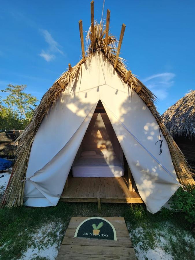 Saona Lodge Mano Juan Dış mekan fotoğraf