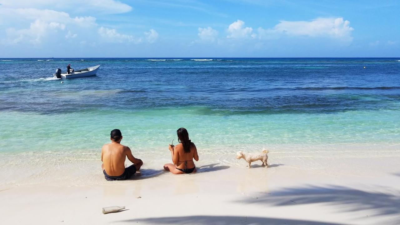 Saona Lodge Mano Juan Dış mekan fotoğraf
